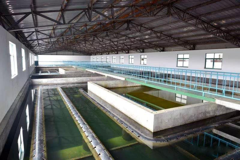 什么是制糖廢水？制糖廢水處理技術(shù)