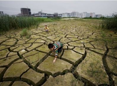 【世界土壤日】《土壤污染防治法》有哪些亮點？